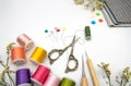 Sewing items on white background Royalty Free Stock Photo