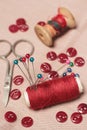 Sewing kit. Royalty Free Stock Photo