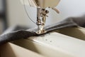 Sewing machine foot and needle Royalty Free Stock Photo