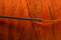 sewing needle on orange bobbin thread Royalty Free Stock Photo