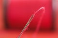 Sewing needle on red thread spool blurred background Royalty Free Stock Photo