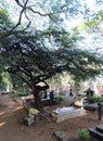 The Sewri Christian Cemetery in Sewri, Mumbai, India