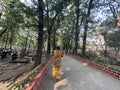 The Sewri Christian Cemetery in Sewri, Mumbai, India