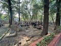 The Sewri Christian Cemetery in Sewri, Mumbai, India