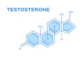 Sex hormones , testosterone vector