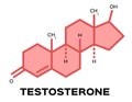 Sex hormones , testosterone