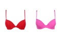 red and pink bra, isolated