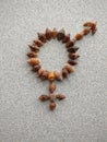 Sex sign for bisexual created with snail shells