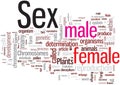 Sex word cloud Royalty Free Stock Photo
