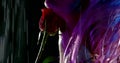 Sexual blonde woman is playing with red rose standing under rain at night time, closeup Royalty Free Stock Photo