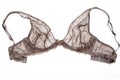 Sexual female bra