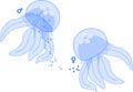 Sexual reproduction in jellyfish: output of male and female gametes