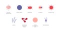 Sexual transmitted disease infographic. Vector flat healthcare illustration color icon set. STD infection type. HIV, HPV,