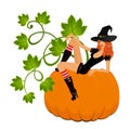 Sexual witch sits on a pumpkin