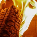 Sexy Burning Log