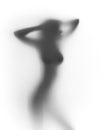 busty woman stands behind curtain, silhouette Royalty Free Stock Photo