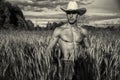 farmer or cowboy next to hay field Royalty Free Stock Photo