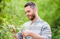 Sexy farmer cut flowers with pliers. muscular ranch man care plants. farming and agriculture cultivation. Garden tools