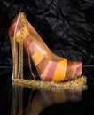 fashionable shoe with golden jewelry