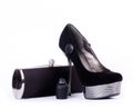 fashionable shoe and handbag Royalty Free Stock Photo