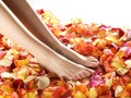 feet of a young woman on fallen petals Royalty Free Stock Photo