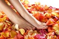 feet of a young woman on fallen petals Royalty Free Stock Photo