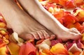 feet of a young woman on fallen petals Royalty Free Stock Photo