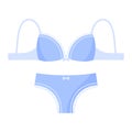 Sexy female blue underwear pantie and bra. Fashion concept