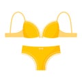 Sexy female yellow underwear pantie and bra. Fashion concept