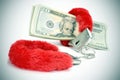 fluffy handcuffs and dollar bills Royalty Free Stock Photo