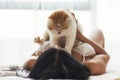 Sexy girl hold yellow exotic shorthair cat on bed