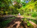 Sexy girl walks into the tropical forest of Honolua Bay in Maui Hawaii Royalty Free Stock Photo