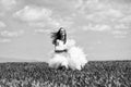 girl in wedding dress. pretty wedding girl on green grass and sky Royalty Free Stock Photo