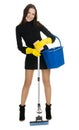 housewife Royalty Free Stock Photo