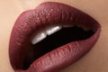 kiss. Fashion vinous lips glossy make-up Royalty Free Stock Photo