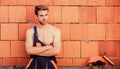 Sexy laborer. Construction. Worker brick wall background. Perform basic tasks. Masculinity concept. General maintenance Royalty Free Stock Photo