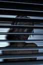 lady behind blinds Royalty Free Stock Photo