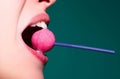 Sexy mouth licking lollipop, red female glossy lips and pink candy lollipop. Royalty Free Stock Photo