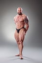 Sexy Muscular bodybuider posing on the gray background