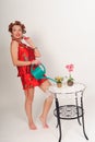 pin up housewife Royalty Free Stock Photo