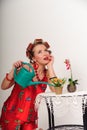 pin up housewife Royalty Free Stock Photo
