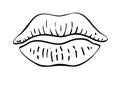 Sexy plump lips kiss isolated line art. Parts of the face sketch. Hand drawn illustration, Vector element Royalty Free Stock Photo