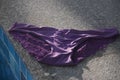 Sexy purple seamless smooth floral lace luxury elegant women brief panty near the swimming pool.