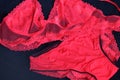 red lace handmade lace, set of bra and panties Royalty Free Stock Photo