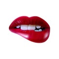 Sexy red lips, bite one`s lip. Vector illustration.