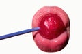 Sexy red lips with candy for print. Red sweet lollipop in the mouth in art design. Glossy womans lips licking sucking Royalty Free Stock Photo