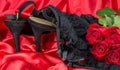 Sexy red  satin background and black knickers shoe red roses Royalty Free Stock Photo