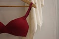 Sexy red seamless smooth luxury underwire bra