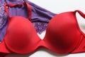 Sexy red seamless smooth unlined luxury women push up bra on the purple seamless smooth panty.