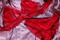 red women`s lace underwear, a set of bra and panties on a s Royalty Free Stock Photo